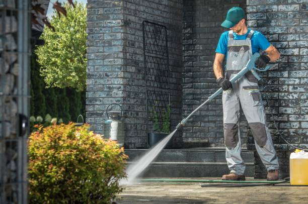 Best Building Exterior Washing  in Albany, LA