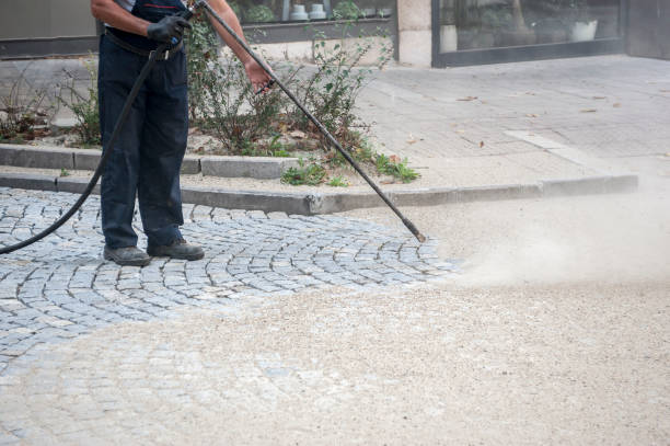 Best Roof Washing  in Albany, LA