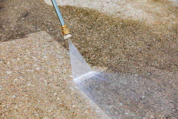  Albany, LA Pressure Washing Pros