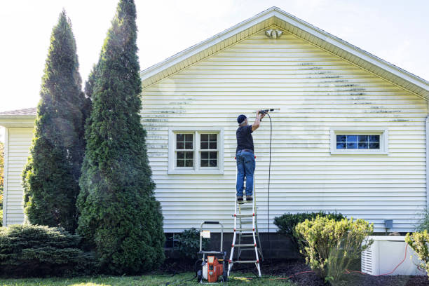 Reliable Albany, LA Pressure Washing Services Solutions